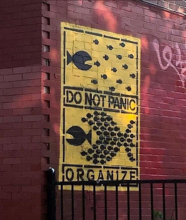 Yellow spray paint street art. Top: large fish pursues dozen scattered small fish - "DO NOT PANIC". Bottom: small fish unite into giant fish chasing predator - "ORGANIZE".